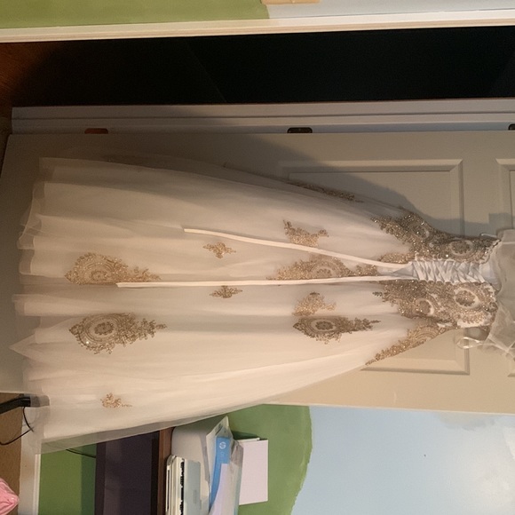 Prom Dress - Picture 7 of 8